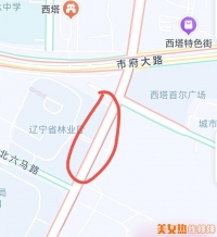 ����վ��Ů