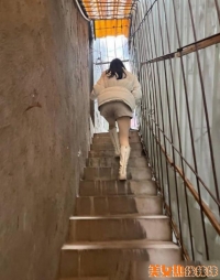 ����ɨ��ϵ��3