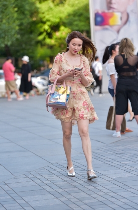 ��������ȹ����