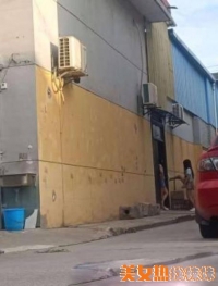 ������ɨ��