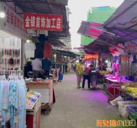 ����ɨ��